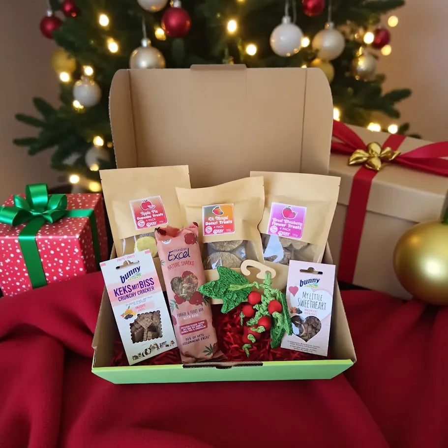Deluxe Christmas Gift Box for Guinea Pigs and Rabbits