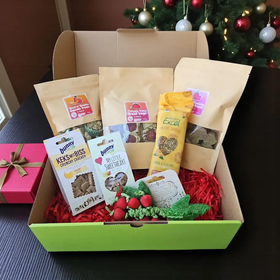 Deluxe Christmas Gift Box for Guinea Pigs and Rabbits
