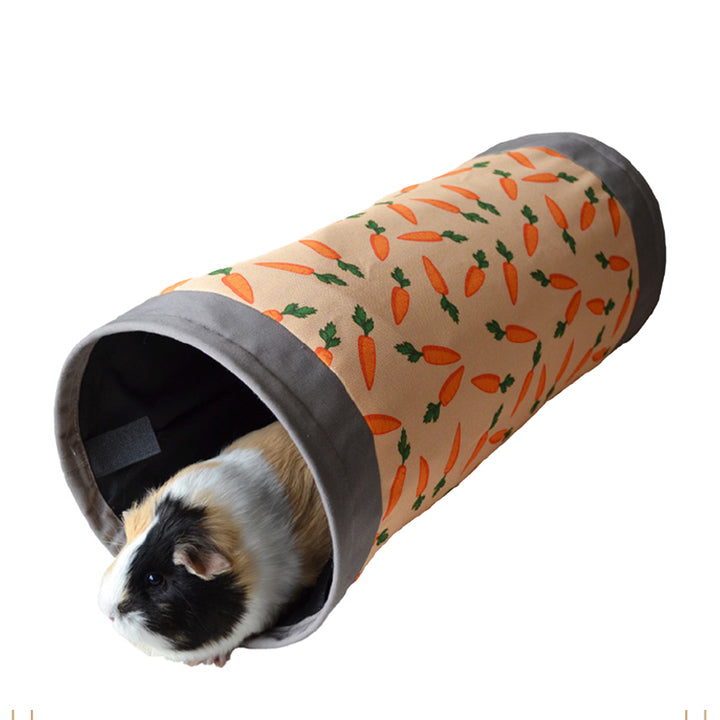 Carrot Tunnel