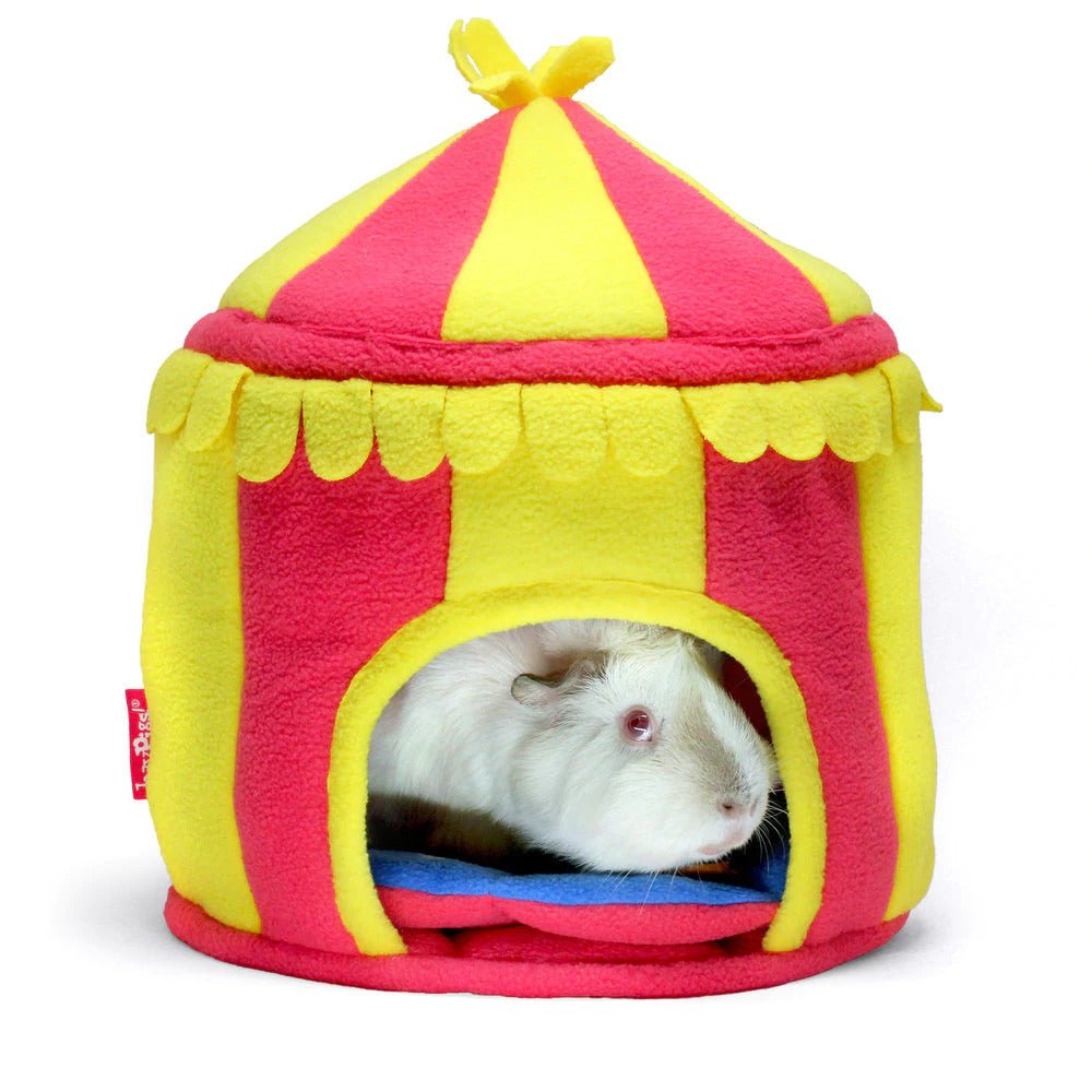 BUNDLE OFFER: The HayPigs!® Guinea Pig Circus™ range - STARTER SET - Guinea Pigs Australia