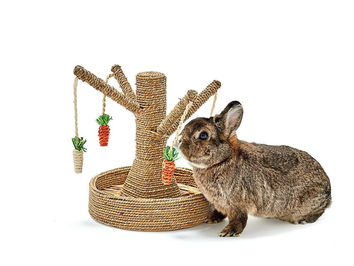 Bunny Fun Tree - Rabbit and Bunny chew and scratch toy – Guinea Pigs ...