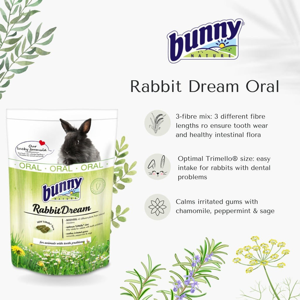 Bunny Nature Rabbit Dream Oral