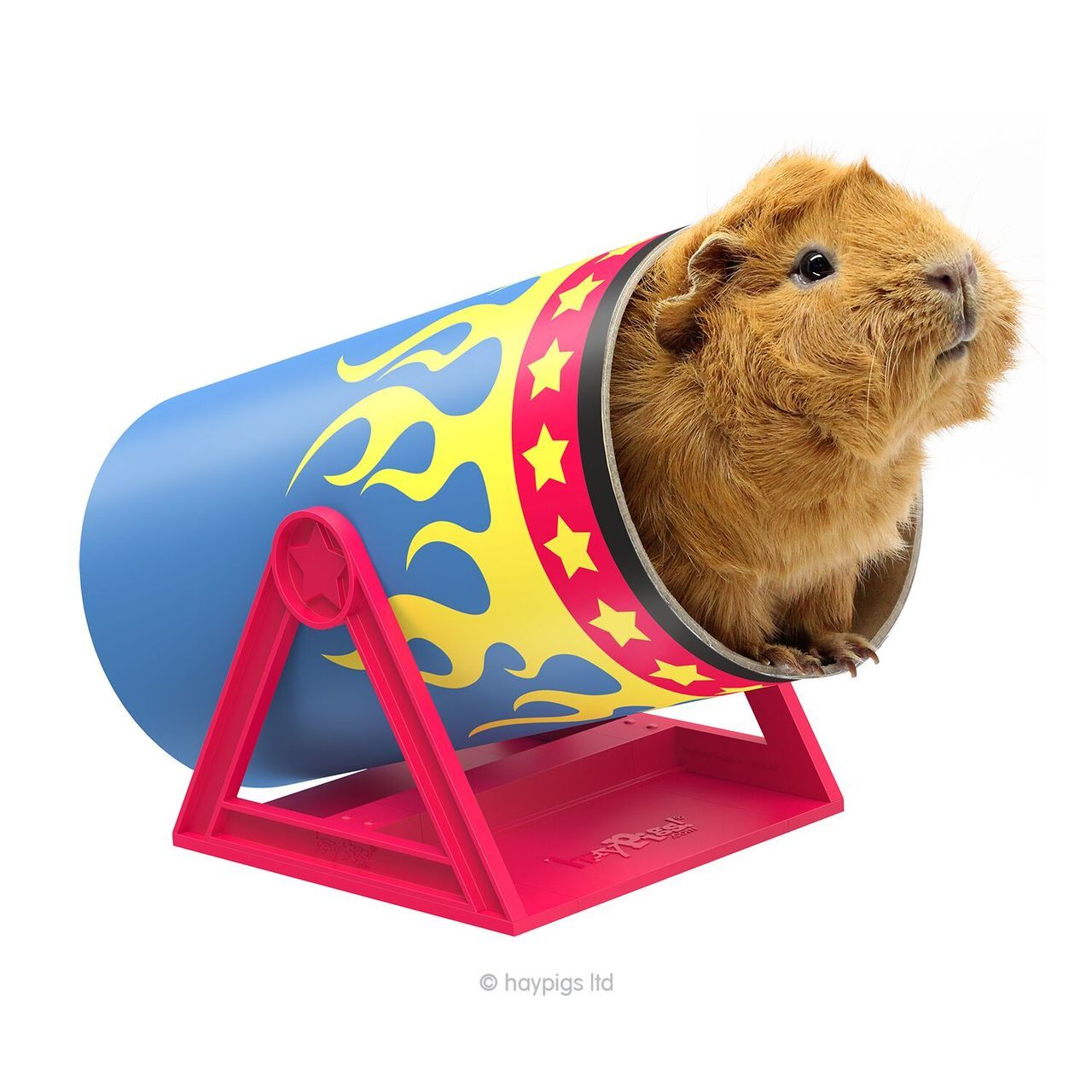 Cool guinea pig toys hotsell