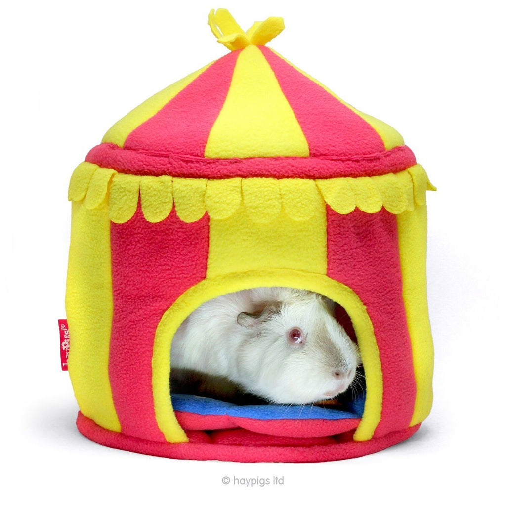 Circus Hidey Hut - Fleece Hidey Hut by HAYPIGS!® - Guinea Pigs Australia