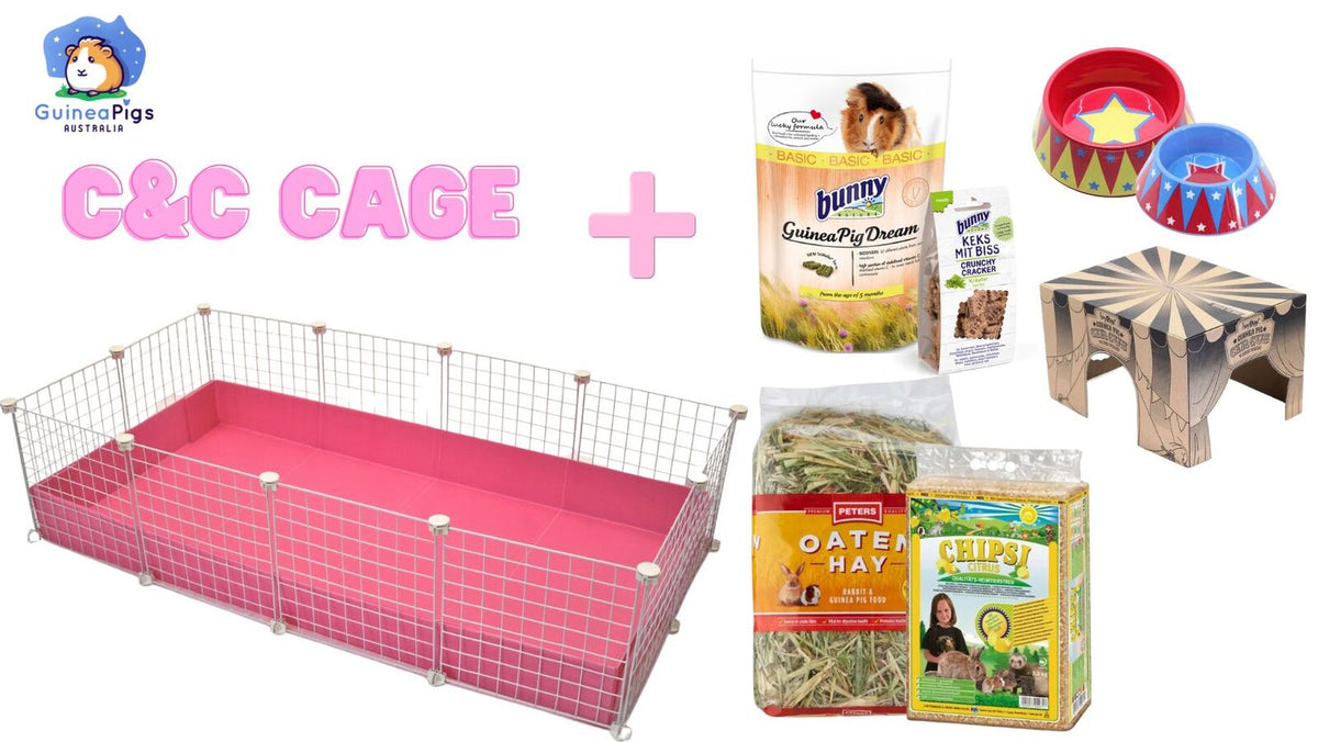 Guinea pig beginners starting pack guineapig starter kit for new guinea