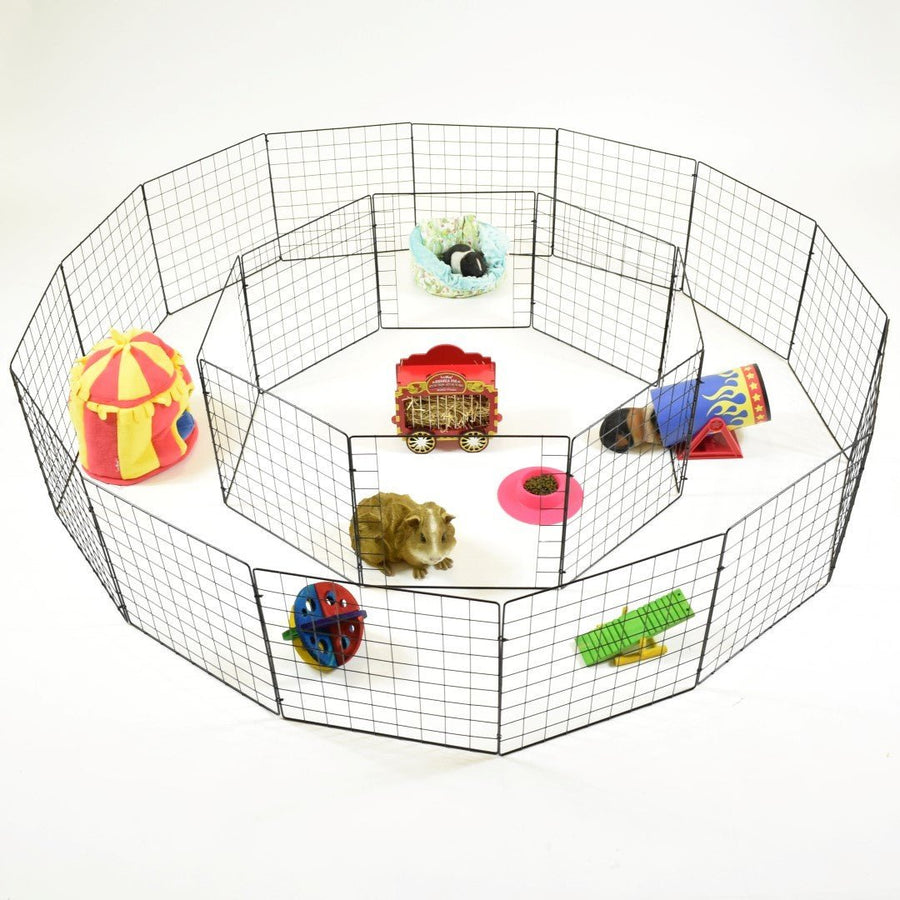 Guinea Pig Playpen