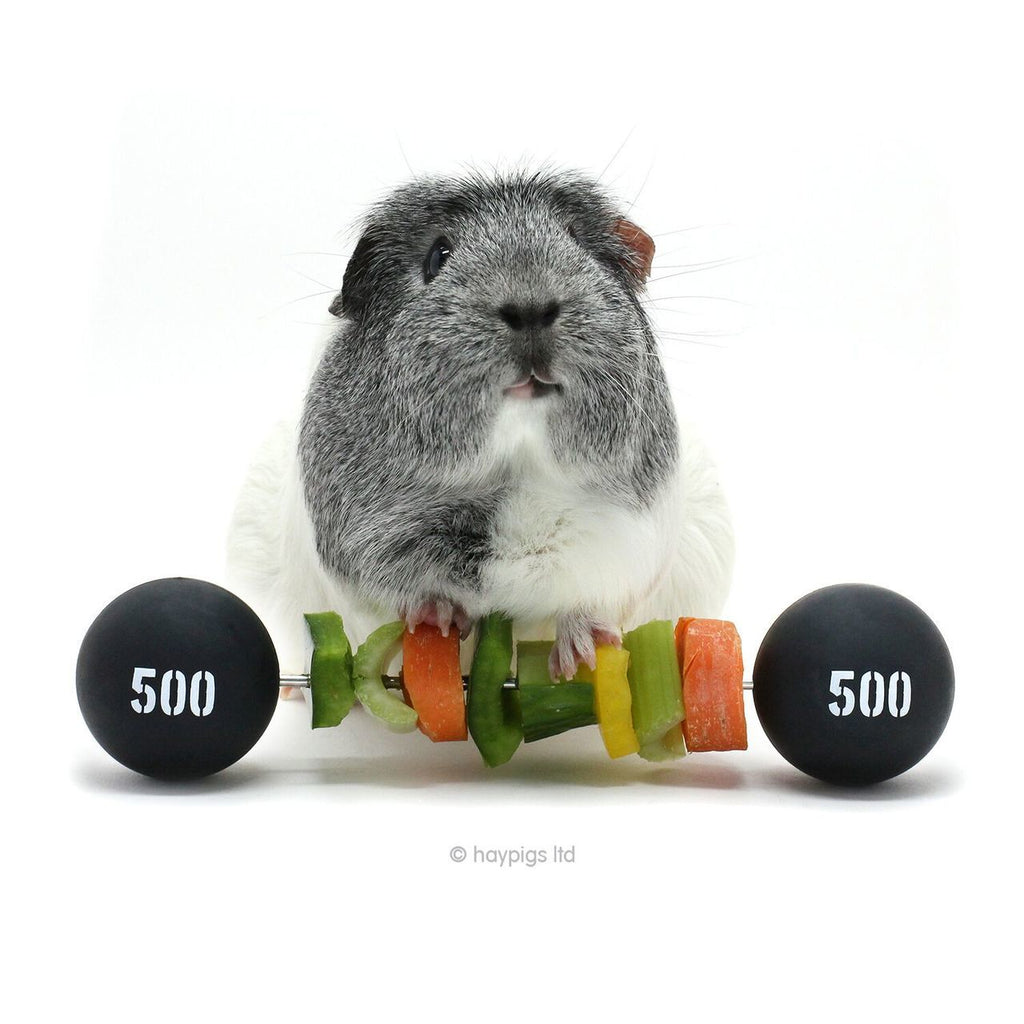 Piggy Weightlifter - Vegetable Kebab Maker by HAYPIGS!®