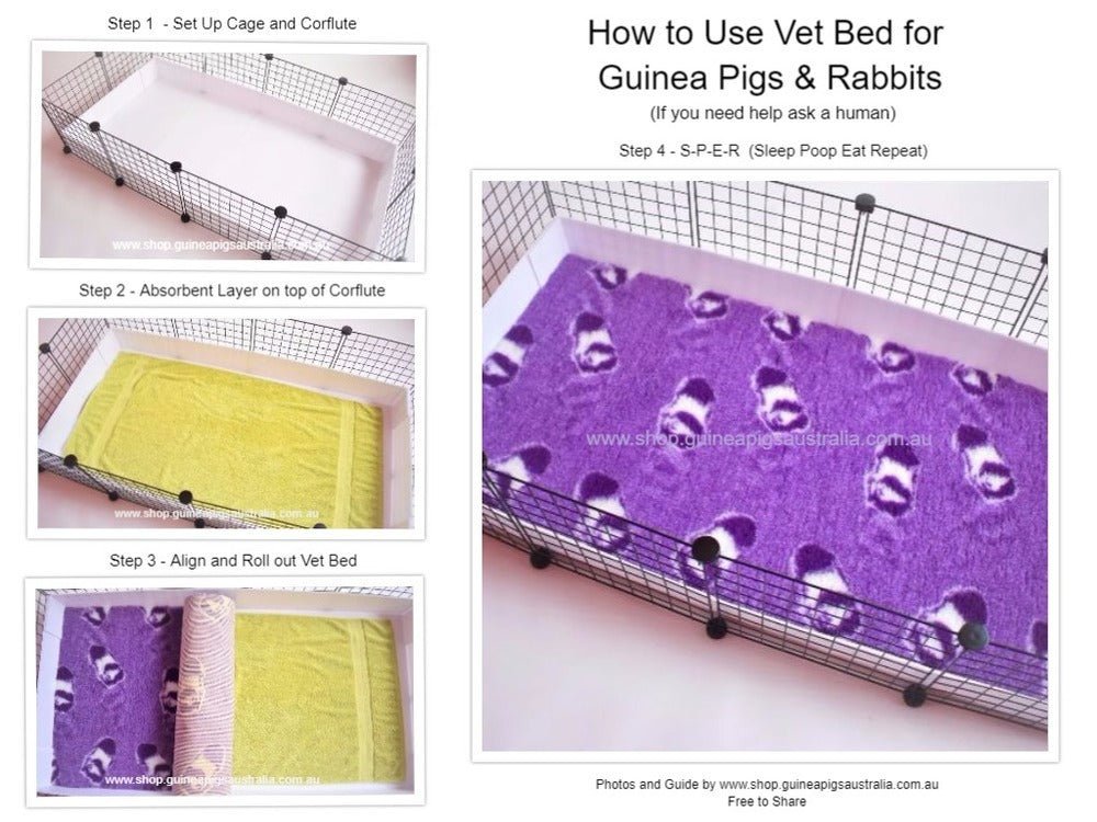 Vet Bed Purple with White Paws - Guinea Pigs Australia